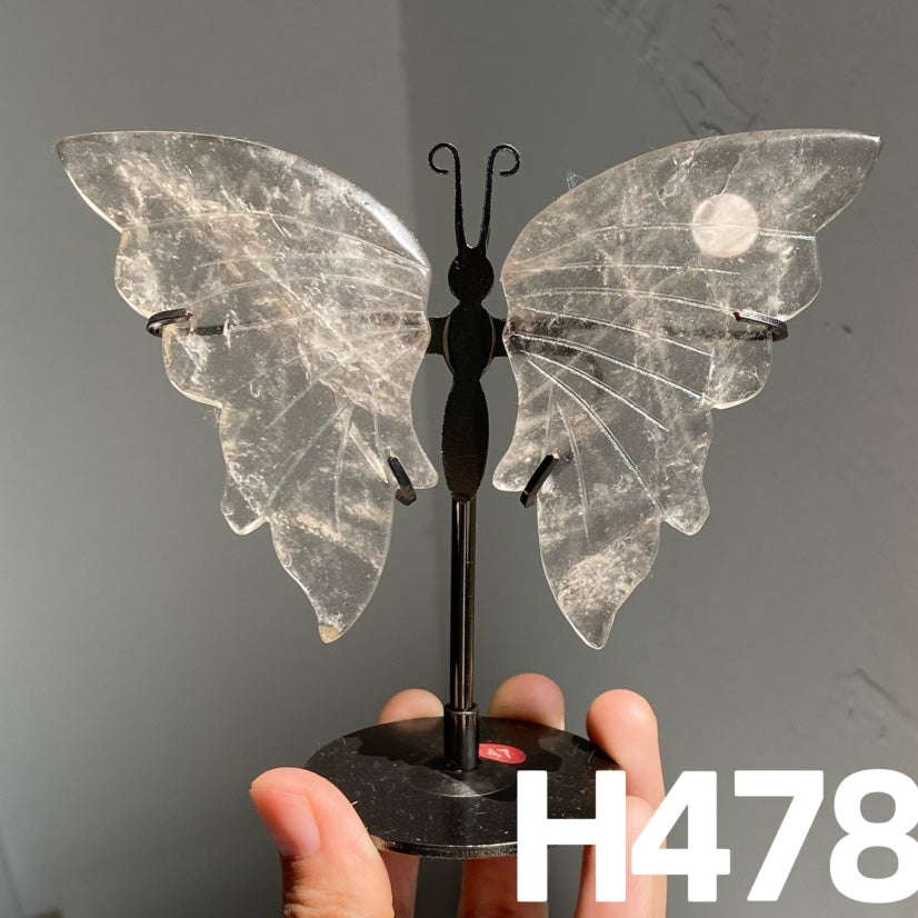 Small Butterfly Wings