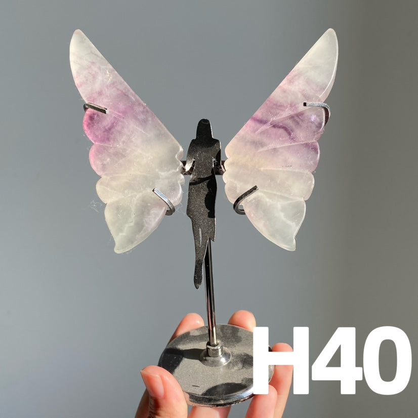 Small Butterfly Wings