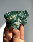 Moss Agate Dragon Turtle