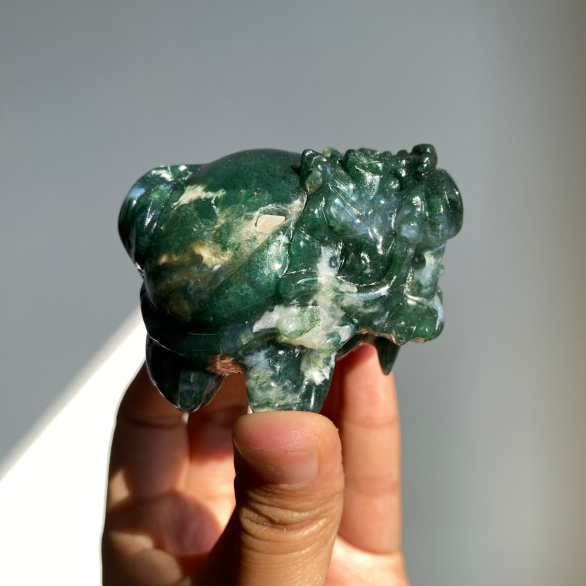 Moss Agate Dragon Turtle