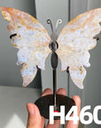 Small Butterfly Wings
