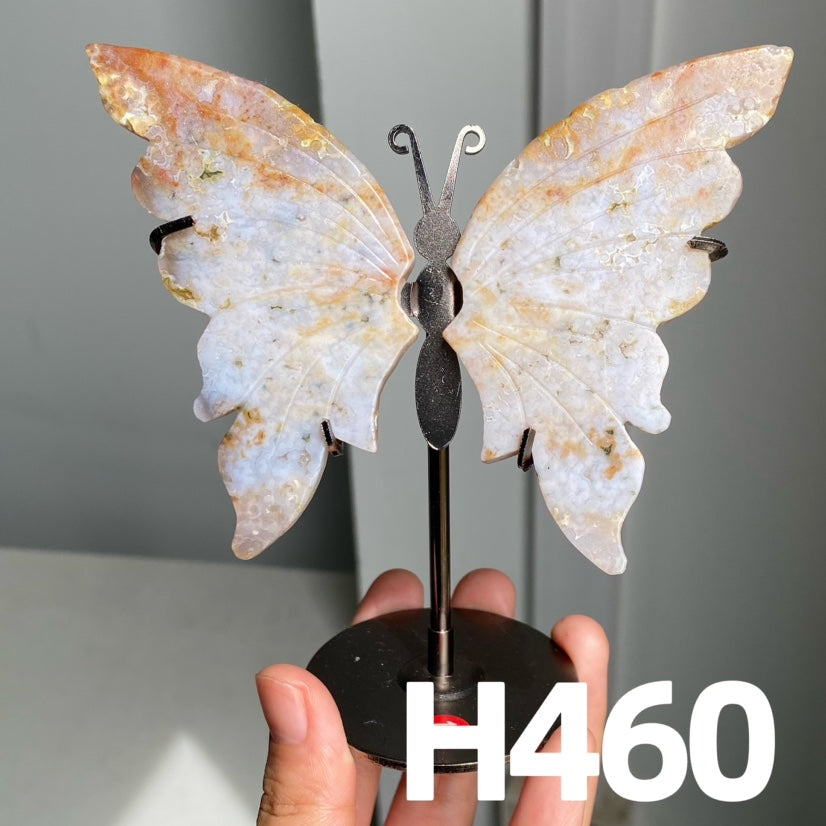 Small Butterfly Wings