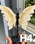 Small Butterfly Wings