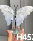 Small Butterfly Wings
