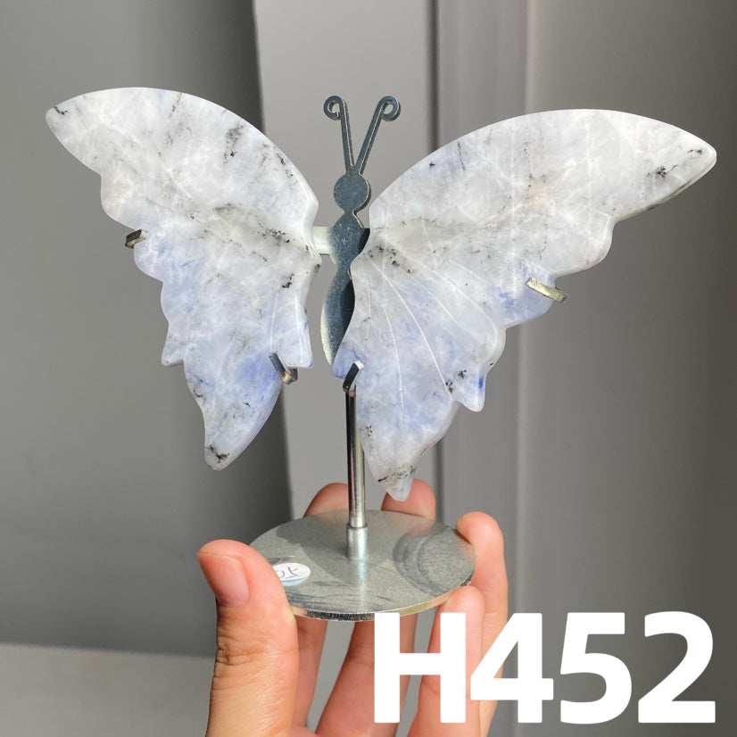 Small Butterfly Wings