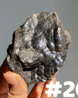 Botryoidal Hematite Specimen