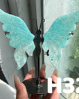 Small Butterfly Wings