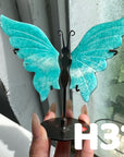 Small Butterfly Wings