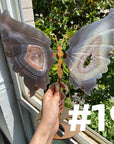 Druzy Agate Butterfly Wings