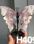 Small Butterfly Wings