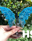 Small Butterfly Wings