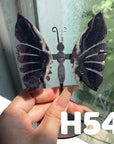 Small Butterfly Wings